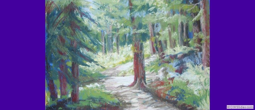 Path Through the Pines  