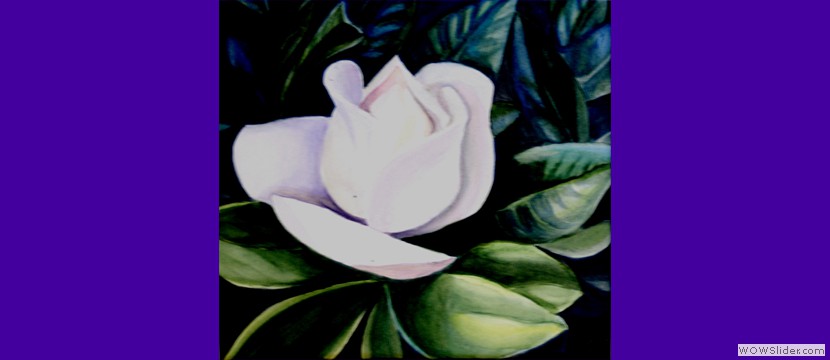 Magnolia Blossom watercolors